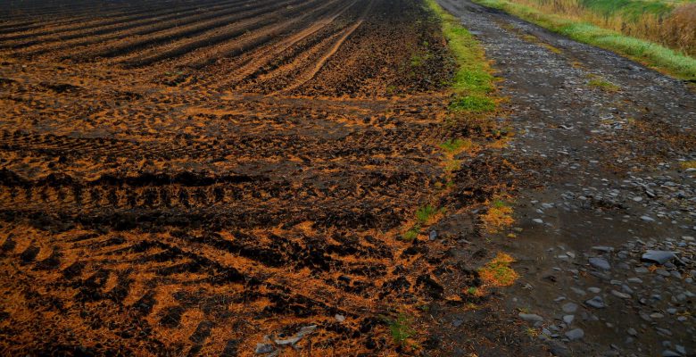 vendre terre agricole louée